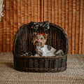 ChonkyNest Handwoven Wicker Dome Pet Bed - Classic Indoor Basket with Plush Cushion & Bow