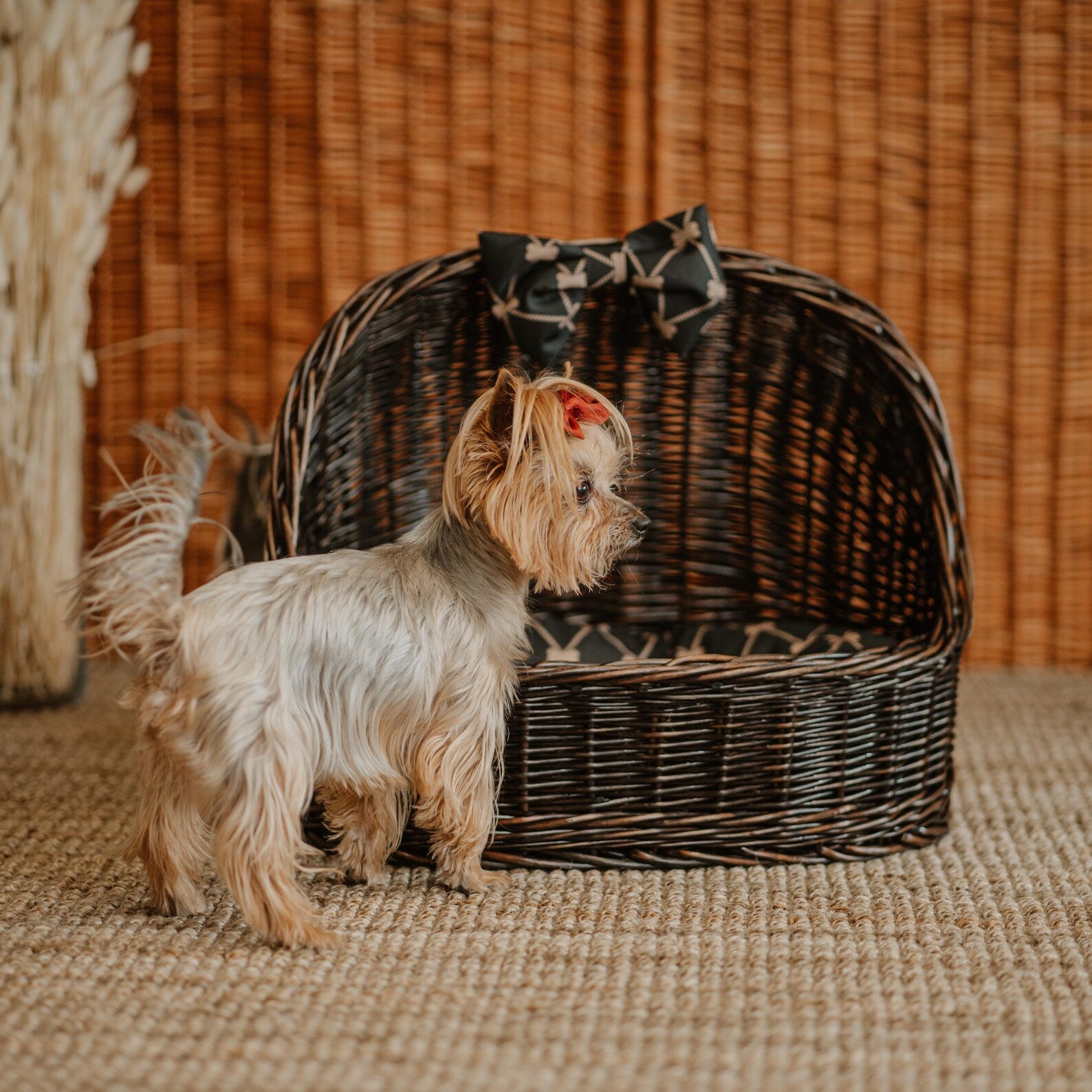 ChonkyNest Handwoven Wicker Dome Pet Bed - Classic Indoor Basket with Plush Cushion & Bow