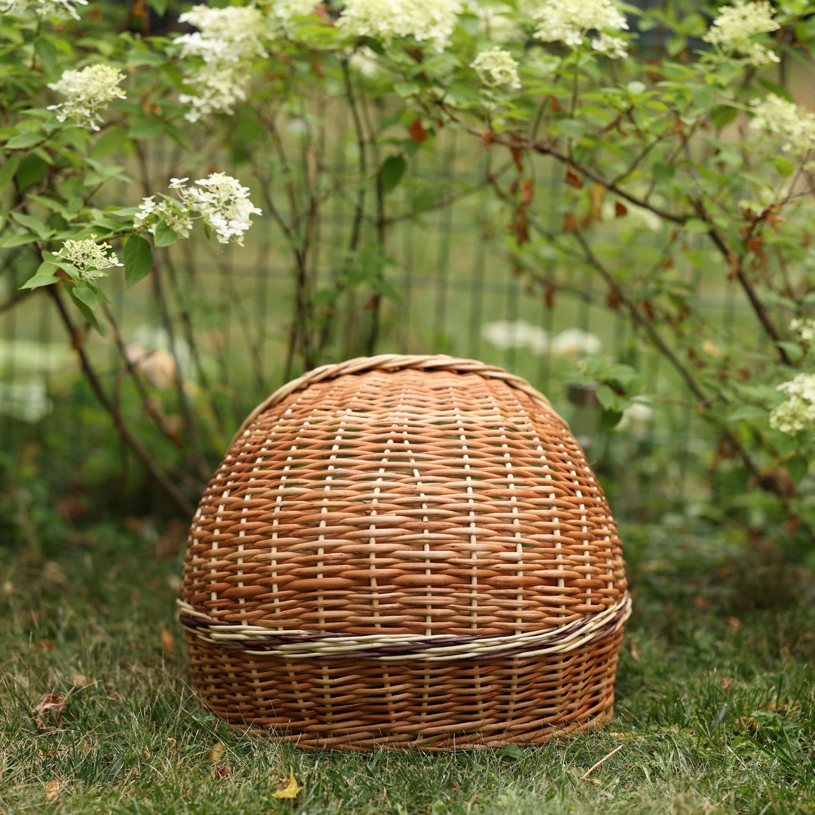 ChonkyNest Natural Wicker Cat Bed - Handcrafted Pet Basket with Soft Cushion